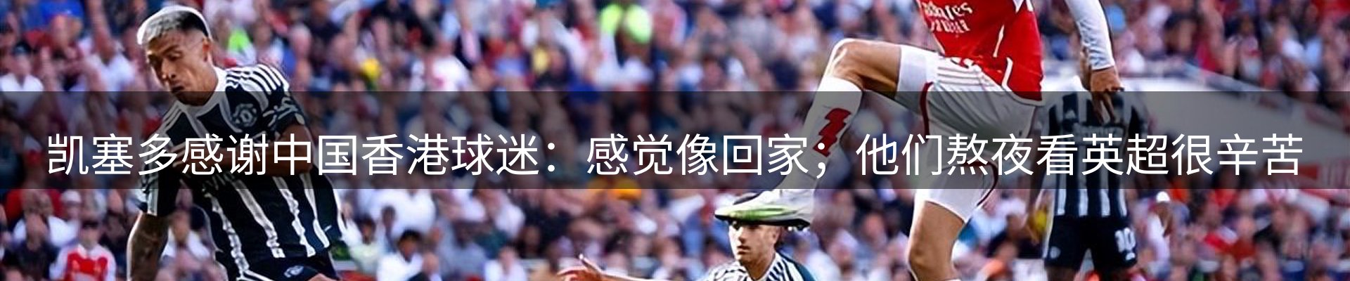 最新动态