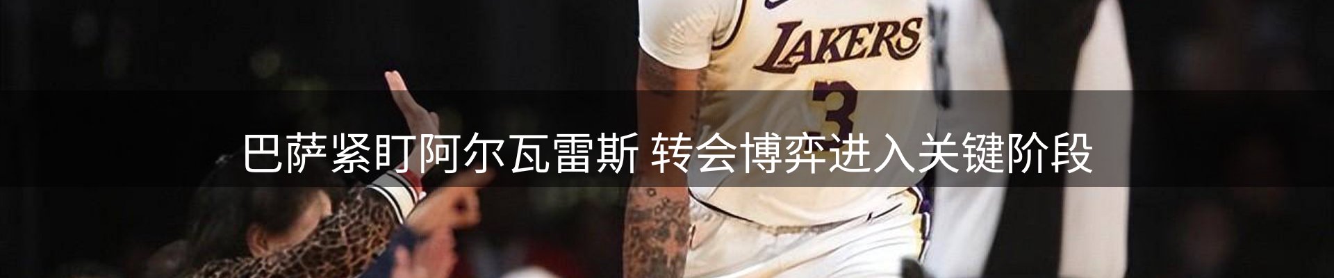 最新动态