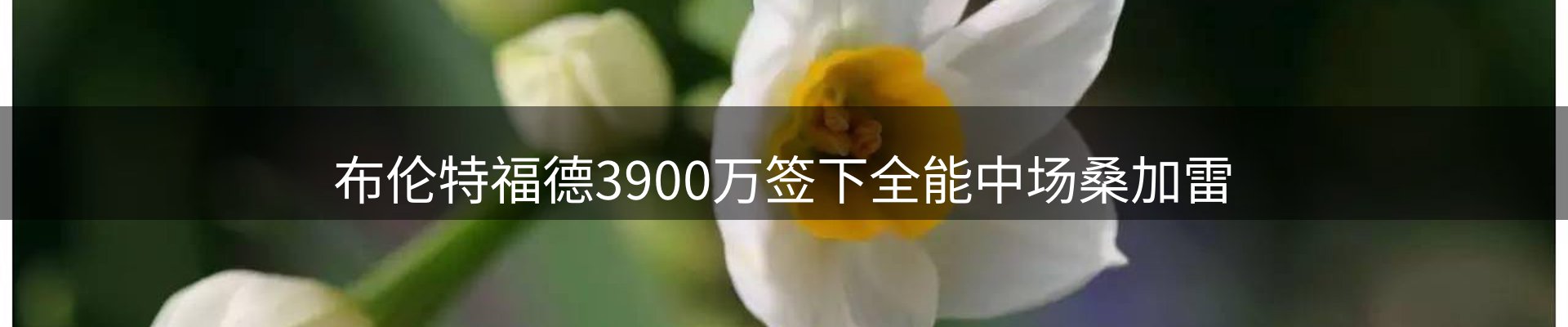 最新动态