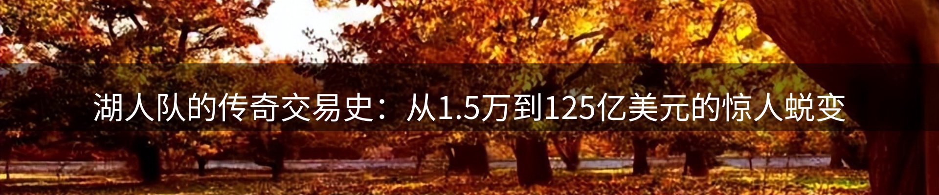 最新动态