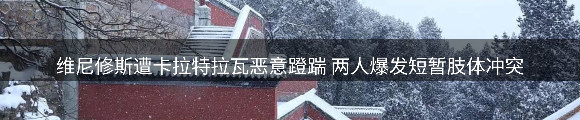 最新动态
